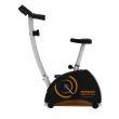 Bicicleta Ergométrica Athletic Magnetron  3040BV até 150 kg 03796